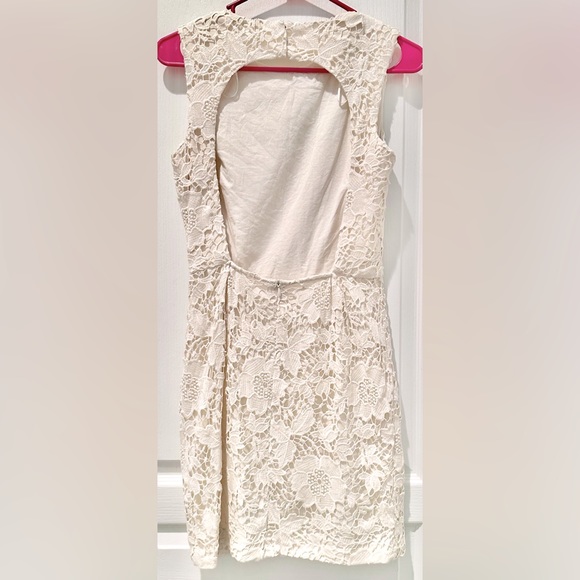 Zara Sleeveless Open Back Crochet Lace Mini Sheath Dress - Picture 6 of 7